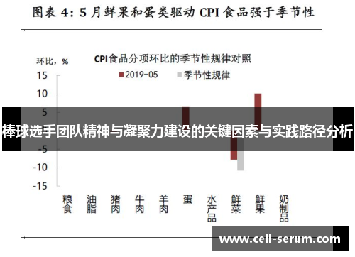 棒球选手团队精神与凝聚力建设的关键因素与实践路径分析